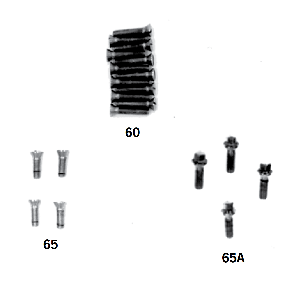 Gear Cover And Tappet Block Screws