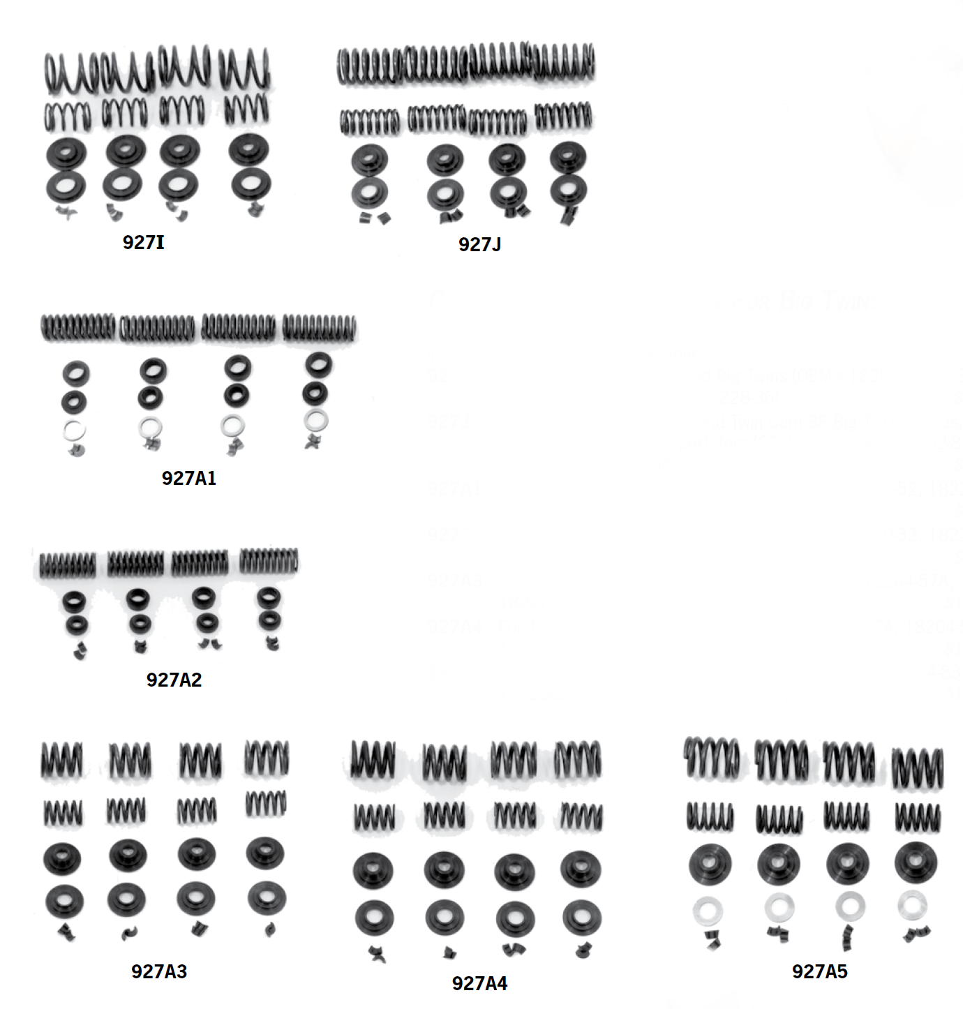 Complete Valve Spring Kits For Big Twins  And Sportsters